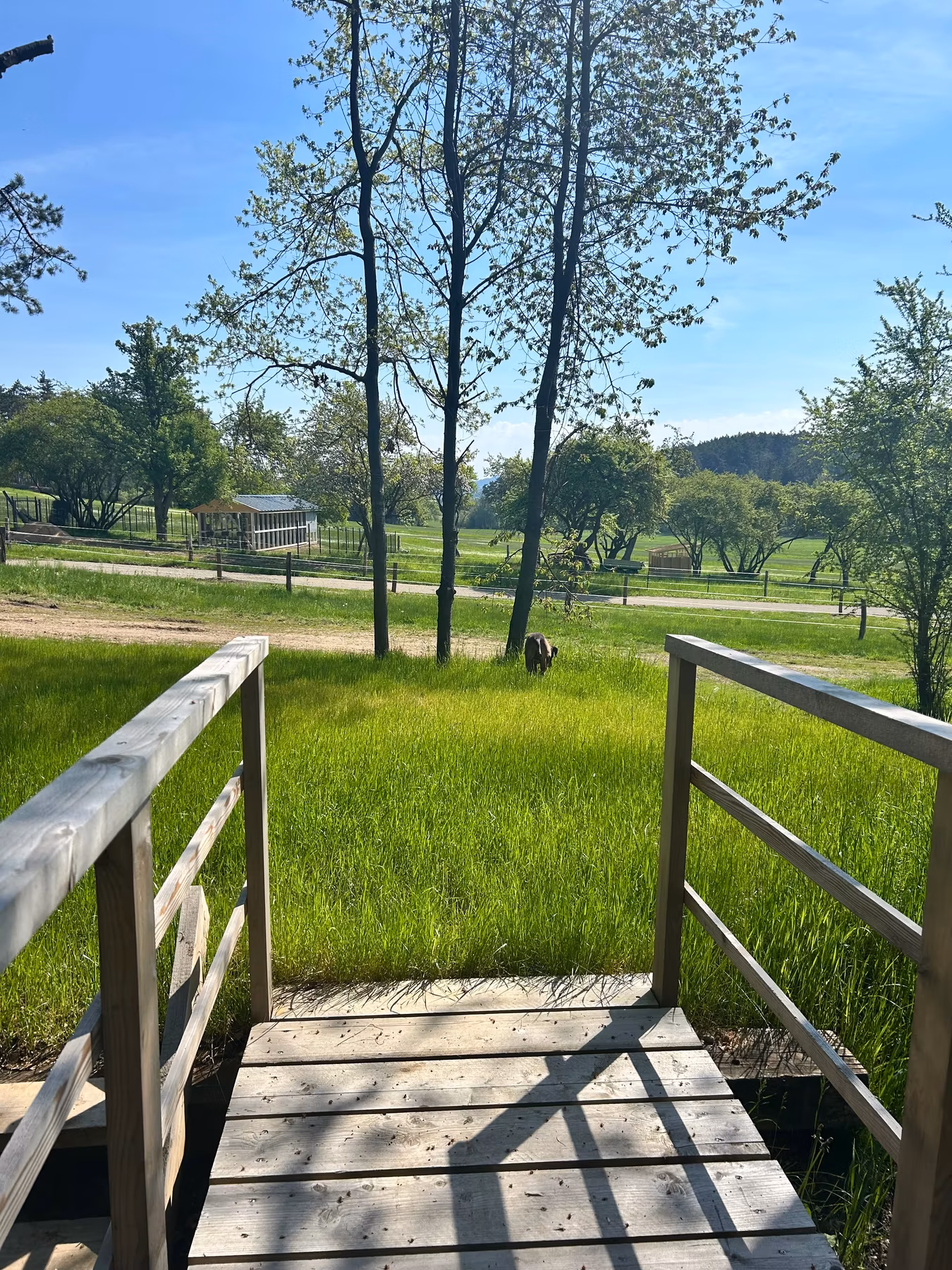 Stanování v přírodním prostředí